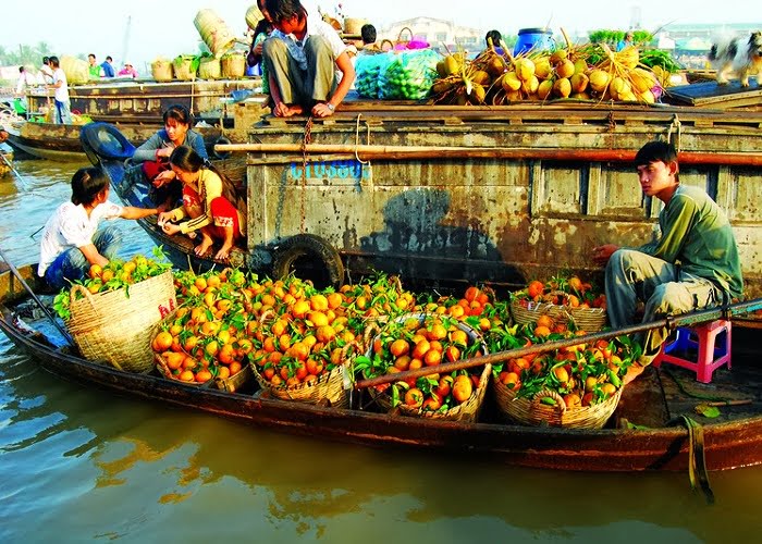 Khởi hành tour du lịch miền Tây từ Hà Nội trọn gói, chất lượng nhất 21