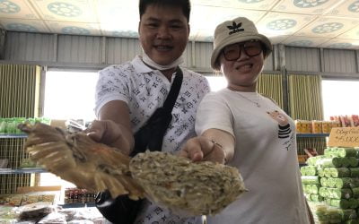 SGN02CT-BMM: Tour Du lịch Miền Tây 2N1Đ: Sài Gòn –  Mỹ Tho – Bến Tre – Cần Thơ – KDL Mỹ Khánh – Sài Gòn