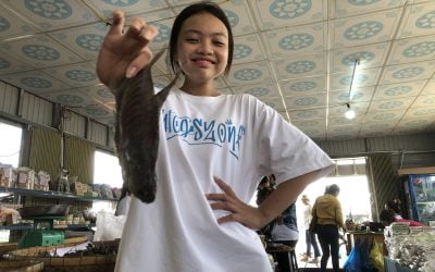 SGN02CT-BMM: Tour Du lịch Miền Tây 2N1Đ: Sài Gòn –  Mỹ Tho – Bến Tre – Cần Thơ – KDL Mỹ Khánh – Sài Gòn