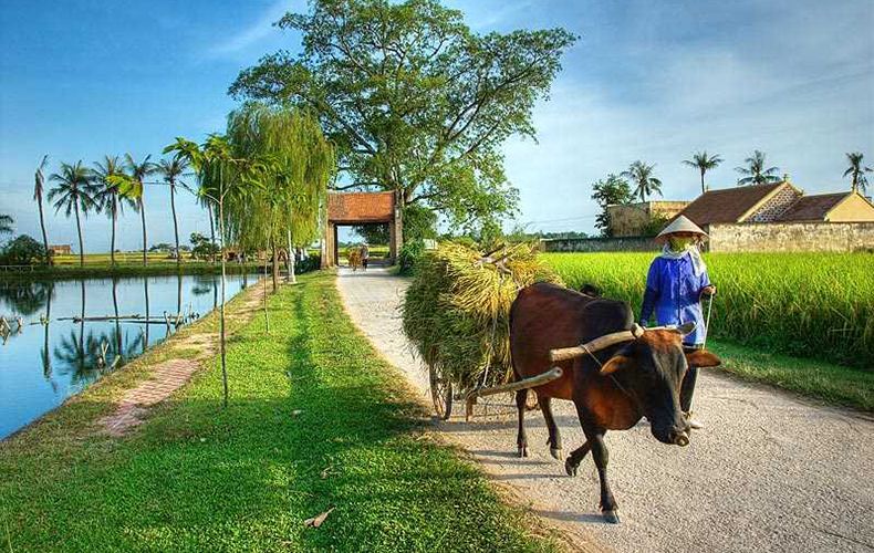 Hanoi Sapa Tour 3 Days