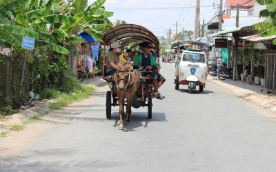 SGN01MT-KXC: Mekong Delta Tour 1 Day My Tho Ben Tre