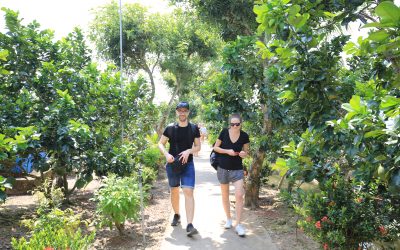 SGN01MT-KXC: Tour Du Lịch Miền Tây 1 Ngày Mỹ Tho – Bến Tre