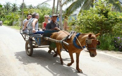 Du Lịch Xuyên Việt 10 ngày 09 đêm khởi hành từ Hà Nội