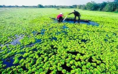 Du Lịch Xuyên Việt 10 ngày 09 đêm khởi hành từ Hà Nội