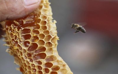 Du Lịch Xuyên Việt 10 ngày 09 đêm khởi hành từ Hà Nội