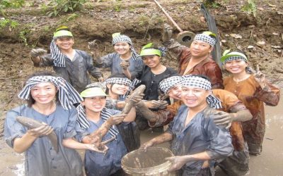 Tour Du Lịch Miền Tây 5N4Đ: Miền Tây – Miền Đông Nam Bộ