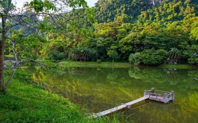 Tour Du Lịch Miền Tây 5N4Đ: Phú Quốc