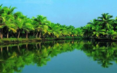 Tour Du Lịch Miền Tây 3N2Đ: Cái Bè – Cần Thơ – Châu Đốc