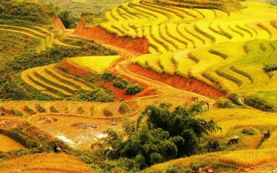 Tour Du Lịch Hà Nội 6N5Đ: Hà Nội – Hạ Long – Sapa – Ninh Bình