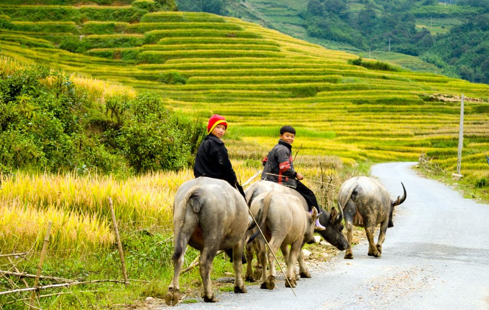Hanoi Halong Sapa Perfume Pagoda 6 Days 5 Night