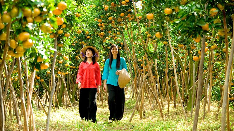 Tour Du Lịch Miền Tây 4N3Đ: Mỹ Tho - Bến Tre - Cần Thơ - Long Xuyên - Châu Đốc 3 Tour miền Tây 4N3Đ Mỹ Tho Bến Tre Cần Thơ Long Xuyên Châu Đốc 3