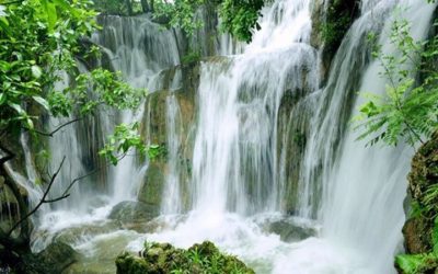 Tour Du Lịch Đà Lạt 1 Ngày: Ghé Thăm Vùng Quê Thơ Mộng