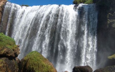 Tour Du Lịch Đà Lạt 1 Ngày: Ghé Thăm Vùng Quê Thơ Mộng