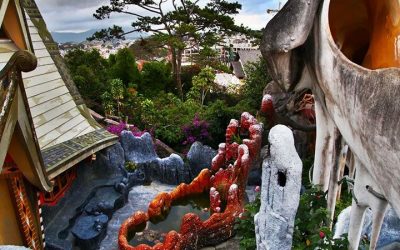 Tour Du Lịch Đà Lạt 1 Ngày: Ghé Thăm Vùng Quê Thơ Mộng