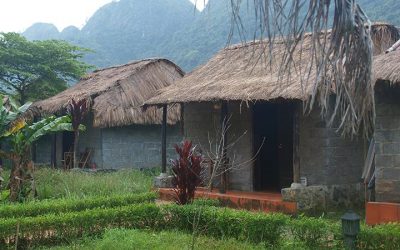 Tour Du Lịch Hạ Long 3N2Đ Trên Tàu Dragon Gold