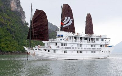 Tour Du Lịch Hạ Long 1 Ngày – Dragon Cruise