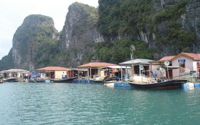 Tour Du Lịch Hạ Long 1 Ngày – Dragon Cruise