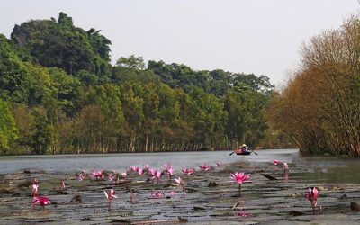 Tour Du Lịch Hà Nội 1 Ngày: Chùa Hương