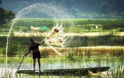 HLVN02: Mekong 1 Day Tour Fishing