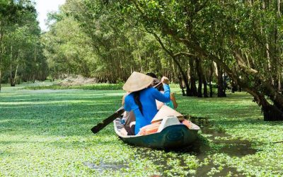 SGN03CĐ-BMM: Tour Du Lịch Miền Tây 3N2Đ: Sài Gòn – Mỹ Tho – Bến Tre – Châu Đốc – Cần Thơ – Sài Gòn