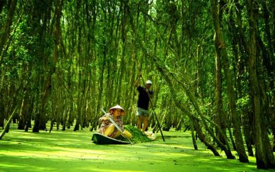 Tour Du Lịch Miền Tây 5N4Đ: 7 Tỉnh Miền Tây Nam Bộ