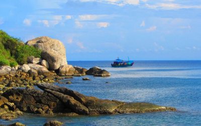 Tour Du Lịch Hội An 1 Ngày: Cù Lao Chàm