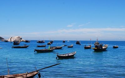 Snorkeling In Cham Island (1Day)