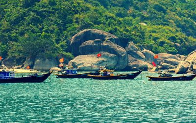 Tour Du Lịch Hội An 1 Ngày: Cù Lao Chàm