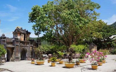 Tour Du Lịch Hội An 1 Ngày: Cù Lao Chàm