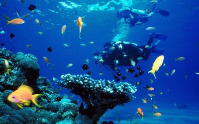 Tour Du Lịch Nha Trang 2N3Đ: Tham quan đảo và Vịnh Nha Phu