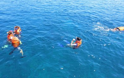 Tour Du Lịch Nha Trang 1 Ngày: Du Ngoạn 4 Đảo