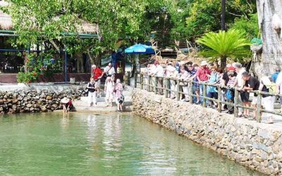 Tour Du Lịch Nha Trang 1 Ngày: Du Ngoạn 4 Đảo