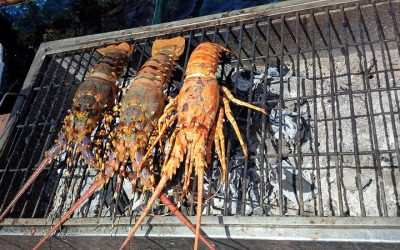 Tour Du Lịch Nha Trang 1 Ngày: Đảo Bình Ba – Robinson Việt Nam