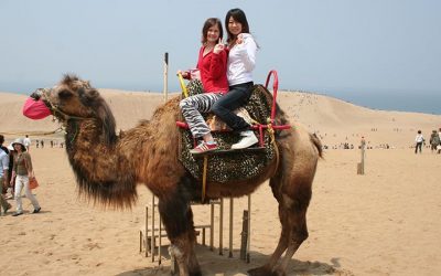 Tour Du Lịch Ninh Thuận 3N2Đ: Phan Rang – Ninh Chữ – Vịnh Vĩnh Hy