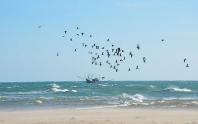 Tour Du Lịch Mũi Né 2N1Đ: Hải Đăng Kê Gà