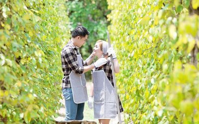 Tour Du Lịch Phú Quốc 3N2Đ: Hòn Đảo Ngọc