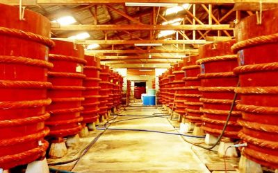 Tour Du Lịch Phú Quốc 3N2Đ: Hòn Đảo Ngọc