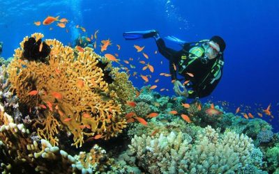 Tour Du Lịch Phú Quốc 3N2Đ: Hòn Đảo Ngọc