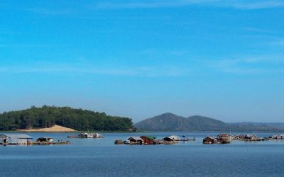 Tour Du Lịch Rừng Nam Cát Tiên 2 Ngày: Một Trải Nghiệm Thú Vị