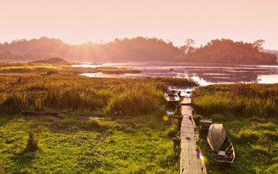 Tour Du Lịch Rừng Nam Cát Tiên 2 Ngày: Một Trải Nghiệm Thú Vị