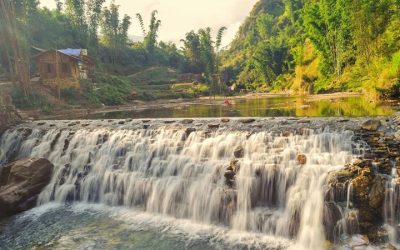 Tour Du Lịch Rừng Nam Cát Tiên 2 Ngày: Một Trải Nghiệm Thú Vị