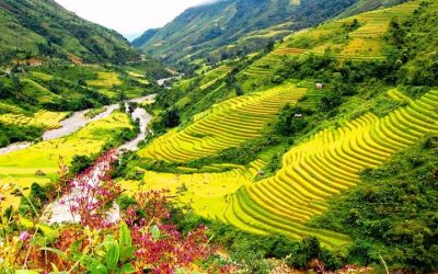 Tour Du Lịch Sapa 3N4Đ Bằng Tàu
