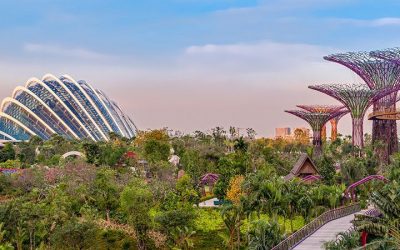 Tour Du Lịch Singapore 4 Ngày 3 Đêm