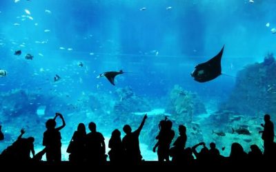 Tour Du Lịch Singapore 4 Ngày 3 Đêm