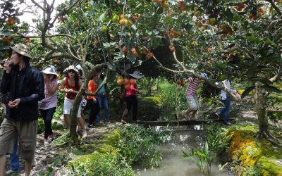 SGN02CT-BMM: Tour Du lịch Miền Tây 2N1Đ: Sài Gòn –  Mỹ Tho – Bến Tre – Cần Thơ – KDL Mỹ Khánh – Sài Gòn