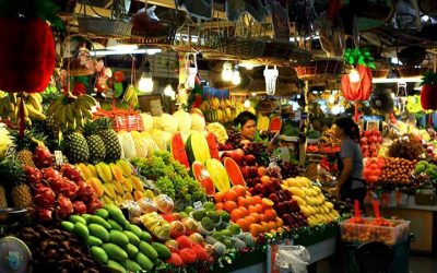 Tour Du Lịch Miền Tây 2N1Đ: Cái Bè - Cần Thơ 1 Tour Du Lịch Miền Tây 2N1Đ: Cái Bè - Cần Thơ 1