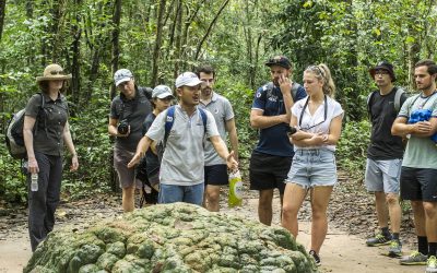 Tour xuyên Việt 11 ngày 10 đêm khởi hành từ Hà Nội