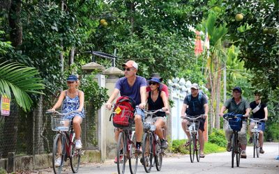 Tour Du Lịch Huế Nửa Ngày: Khám Phá Thủy Biều