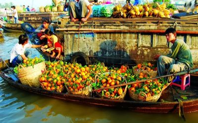 VCA02CT-SMI: Tour du lịch miền tây 2N1Đ từ Cần Thơ: Khám phá Tây Đô