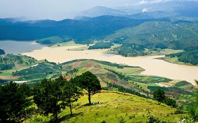 Tour Du Lịch Đà Lạt 1 Ngày : Check In Các Địa Điểm Hot tại Đà Lạt